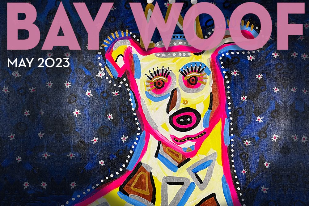 Bay Woof Foundation tweet media