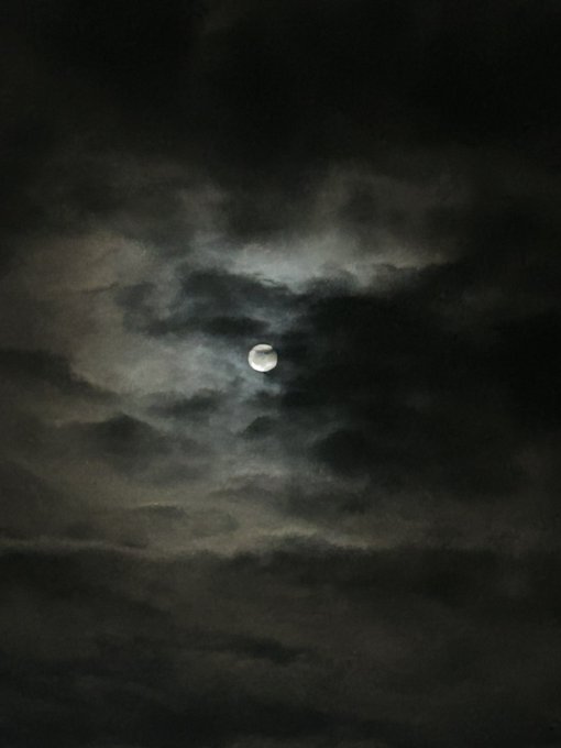 reminds me of a dream https://t.co/L3nAEHTD3n<a href="/tag/newprofilepic"class="tags"><span>#newprofilepic</span></a>