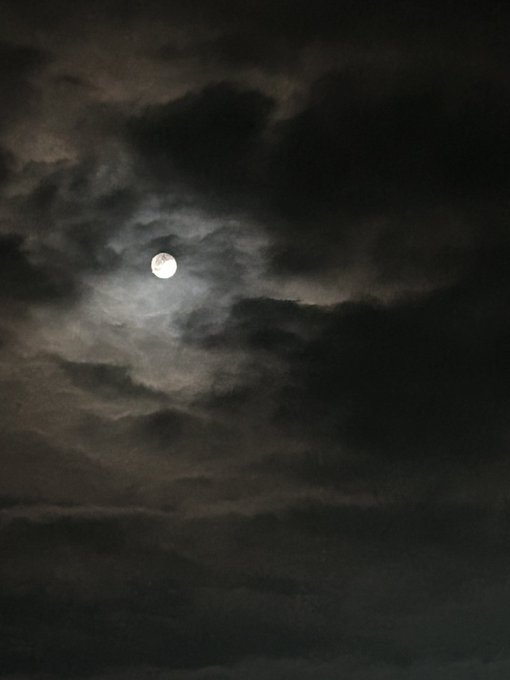 reminds me of a dream https://t.co/L3nAEHTD3n<a href="/tag/newprofilepic"class="tags"><span>#newprofilepic</span></a>