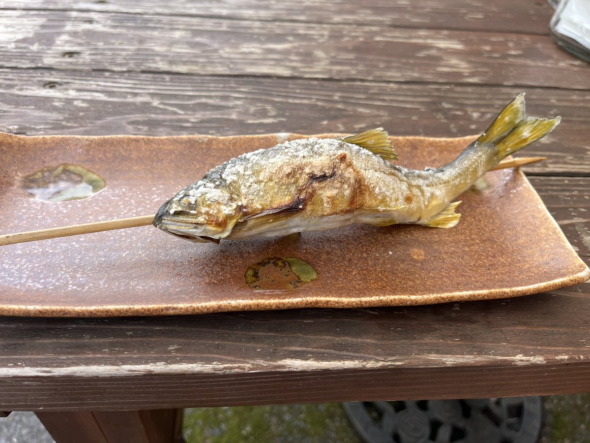 m111sho's tweet photo. 鮎の塩焼きを食べにドライブ🥰
遠近法ではございません
#lotus #lotuselise #elises1 #dvapower #小さい車 https://t.co/O0UgRjxrYk