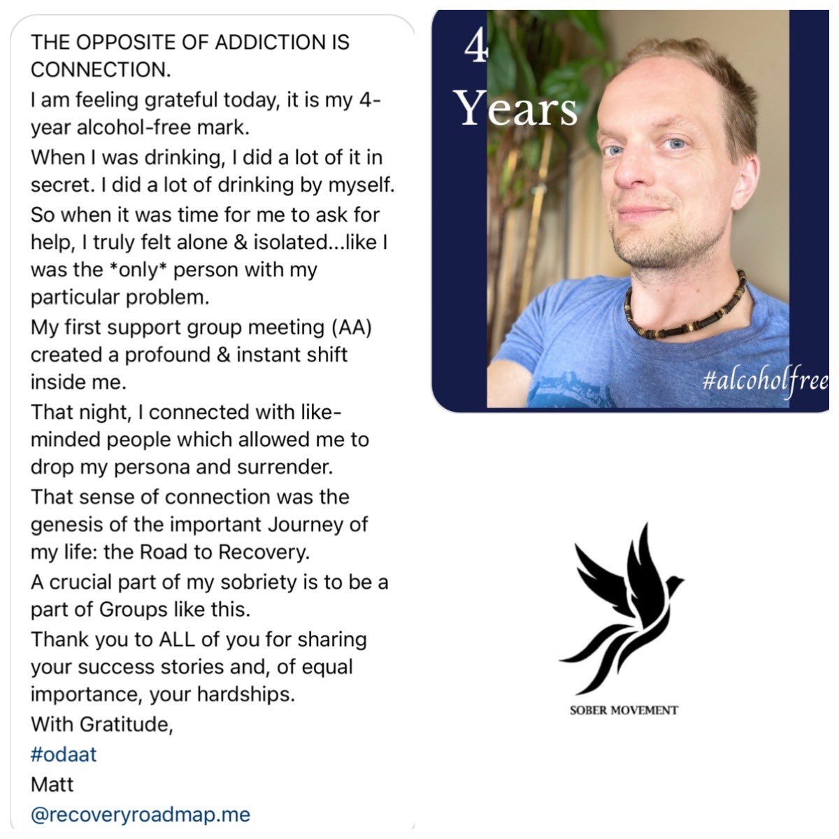 Sober Movement tweet media