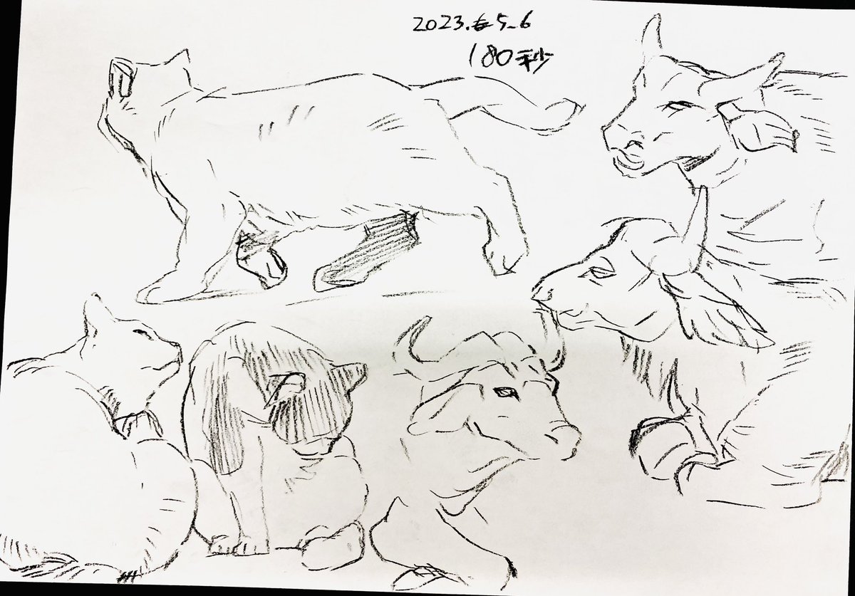 今日の授業で描いたクロッキー😊