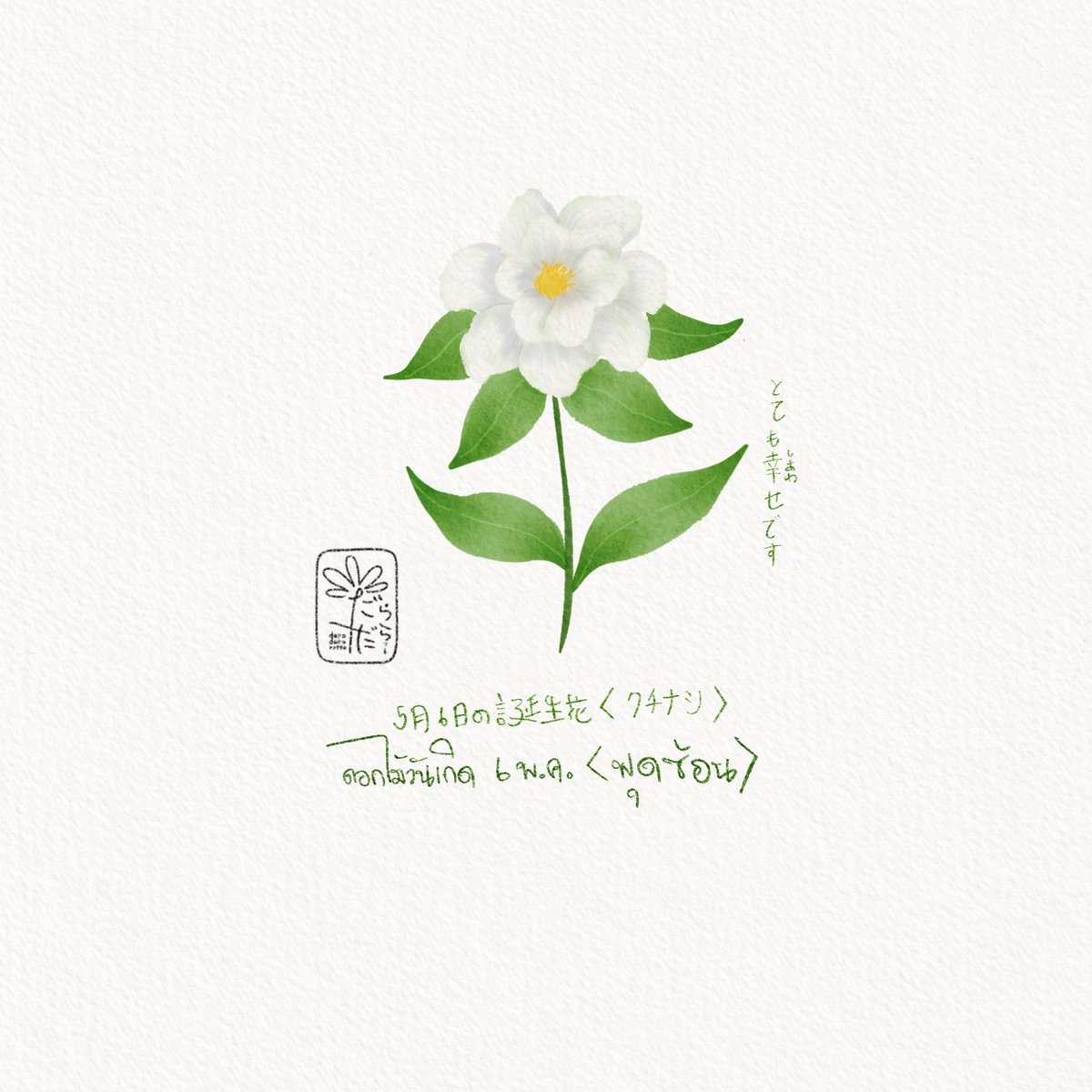 daradaRatto17's tweet photo. ดอกไม้วันเกิดประจำวันที่ 6 พฤษภาคม
“ดอกพุดซ้อน Cape Jasmine”
ญปเรียกว่า คุจินะชิ
ภาษาดอกไม้คือ มีความสุขมากๆ :) https://t.co/Vt5xaoBCBF