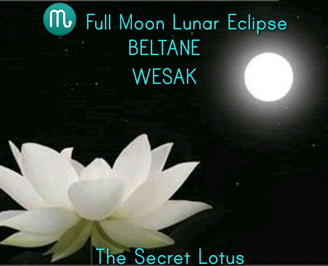 TheSecretLotus's tweet photo. #FullMoon #LunarEclipse #Beltane #Wesak #Magick #Ritual #WheelOfTheYear #TheSecretLotus https://t.co/ugWjHKD521