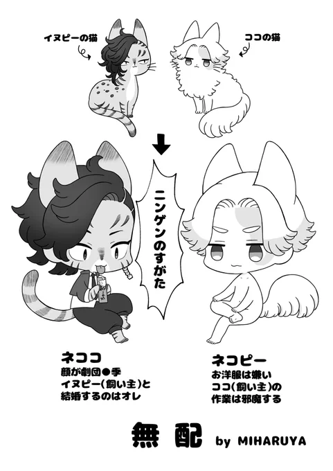 スパコミ無配の猫漫画お手にとっていただきありがとうございました! ココイヌ (1/2) 