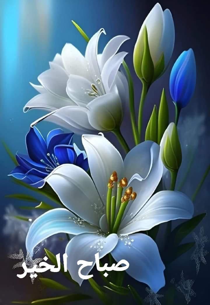 LAlqyisi's tweet photo. فما رأيتُ أعزّ منك في قلبي وما رَغِبتُ في أحدٍ سِواك https://t.co/FCqOlHO8a8