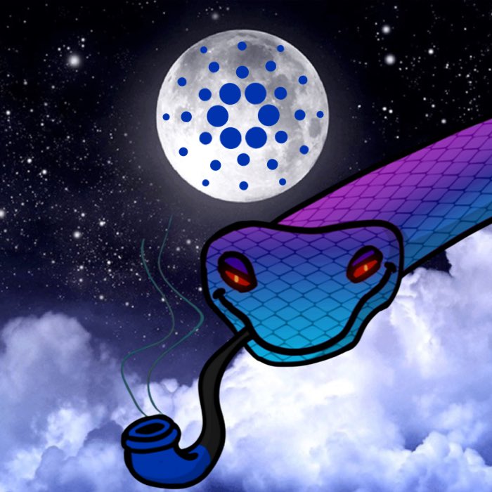 ₿enny 💥🕹️ tweet media