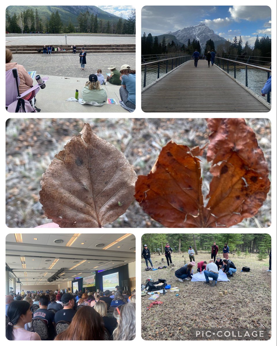 Kelsey MacDonald tweet media