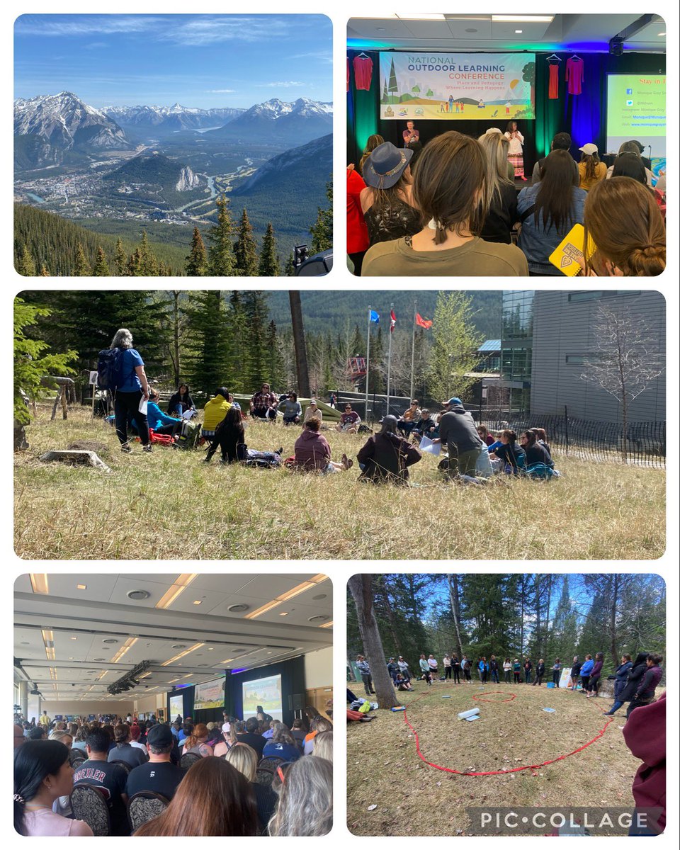 Kelsey MacDonald tweet media