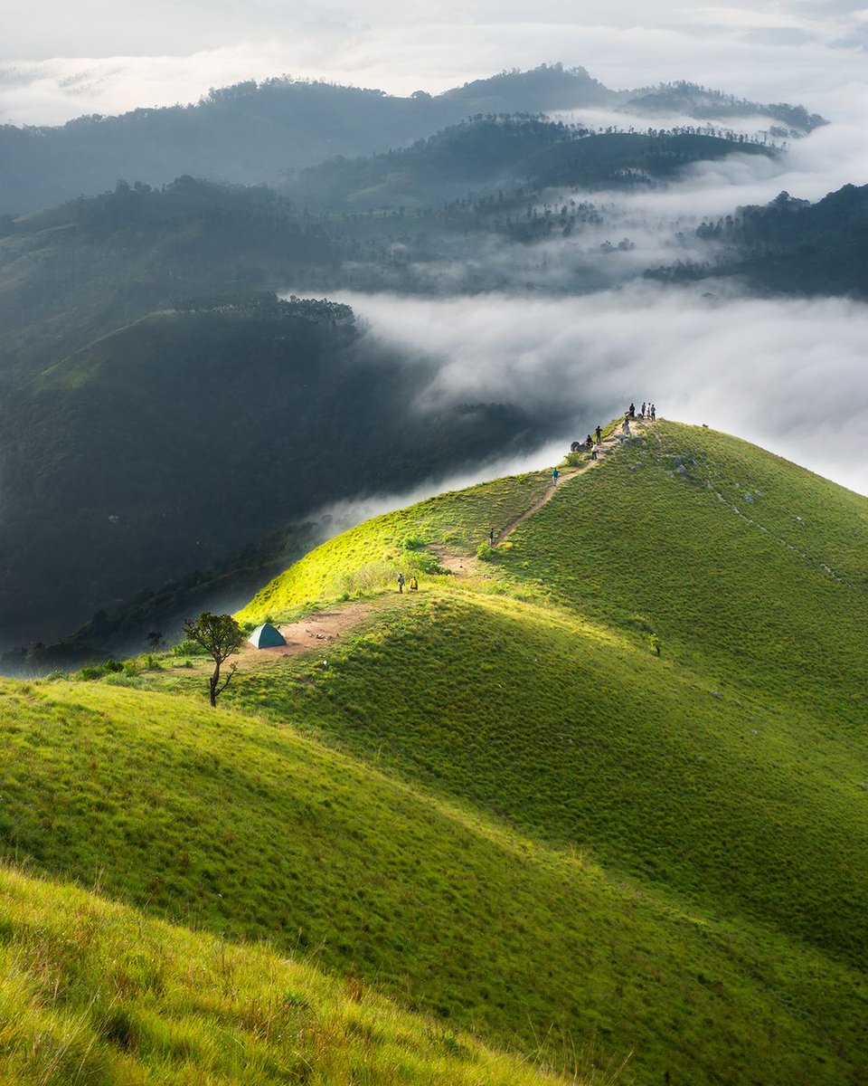 Narangala hills located in Badulla looks like the perfect place for camping and some scenic captures too! 📸 @isura.nimantha . . . #SoSriLanka #ExploreSriLanka #VisitSriLanka #SriLankaTourism #SriLankaTravel #SriLanka #Mountains #Hiking