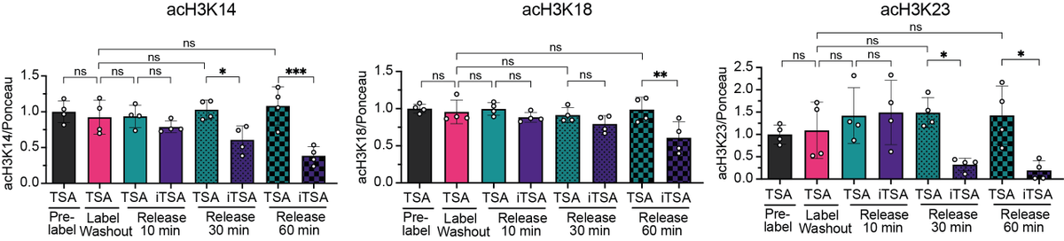 Trefely Lab tweet media
