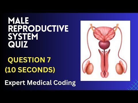 AmyHopman's tweet image. #medicalcoding #malereproductivesystem #quiz #anatomy #viral #viralvideo #shorts #short #trending schoolsformedicalbilling.org/medicalcoding-…