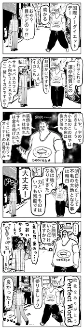 国際ノーダイエットデー