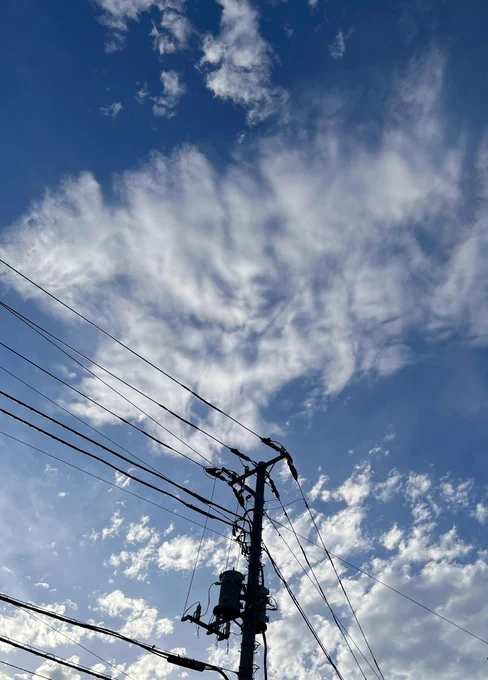 風が強くて色んな雲が見られる日でした