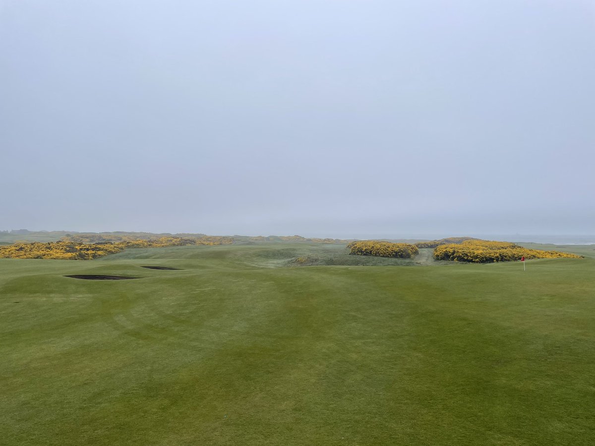 Fog gone 🤞 - Courses now open!