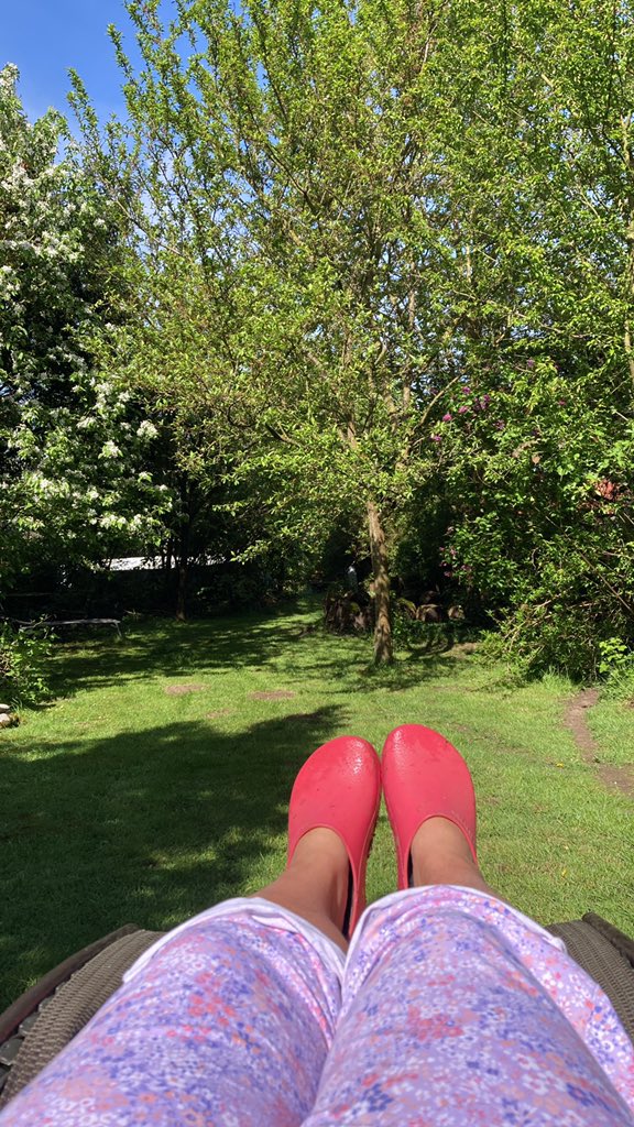 Wollte Morgentee im Garten trinken, jetzt sitze ich immer noch hier 😂🙈#faulersamstag