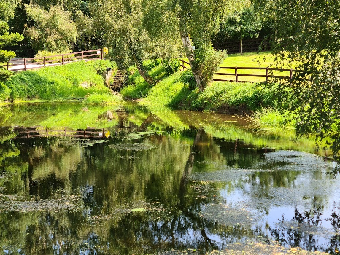 TasteinCarlow's tweet photo. It's the weekend to go on a #TasteinCarlow road trip of County Carlow and stop off in a wonderful selection of eateries, offering a wide variety of delicious dishes for you to choose from. 
Lots of ideas at https://t.co/jnPhyNb2N6
#inCarlow #WanderOffTheTrack #IrelandsAncientEast https://t.co/HlCeGbI0GS