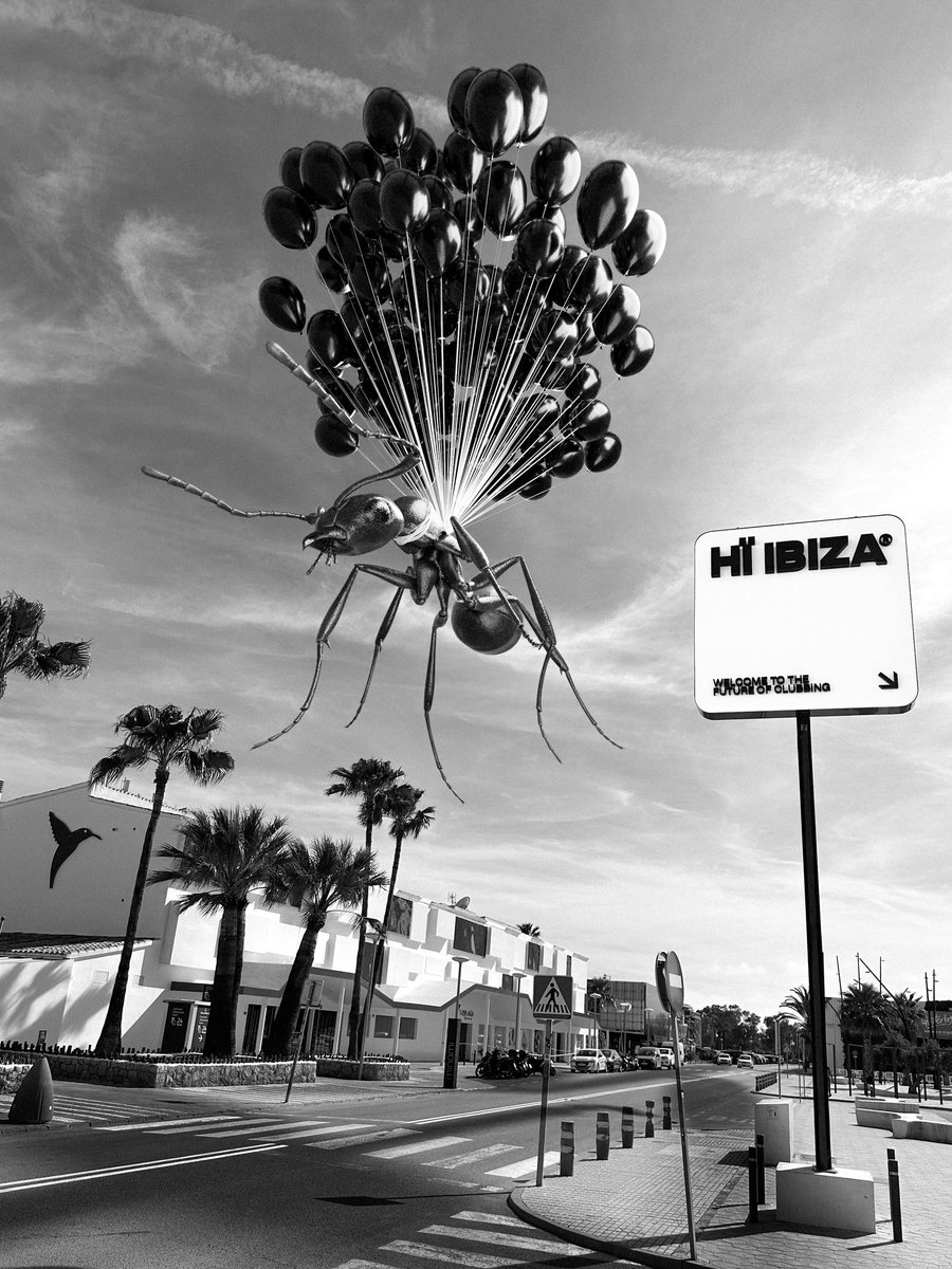 UNITEDANTS's tweet photo. The ANTS have arrived to takeover @ushuaiaibiza & @hiibizaofficial ๐
Join the Colony today at 3 pm at Ushuaรฏa Ibiza, then continuing the celebrations at Hรฏ Ibiza from 11 pm. ๐
๐๏ธ Last tickets remaining/VIP bookings: https://t.co/gLHD0zNS9i
#ANTS10 #UshuaiaIbiza #HiIbiza https://t.co/14GypeIPSB
