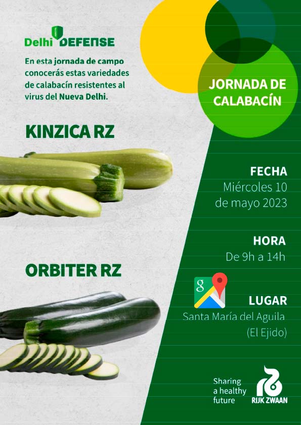 📢Día 10 de mayo. Jornada de #calabacín resistentes al virus del #NuevaDelhi, Kinzica Rz y Orbiter Rz de Rijk Zwaan🌱
agroautentico.com/2023/05/jornad…

🌱<a href="/rijkzwaanES/">Rijk Zwaan ES</a> 

#agricultura