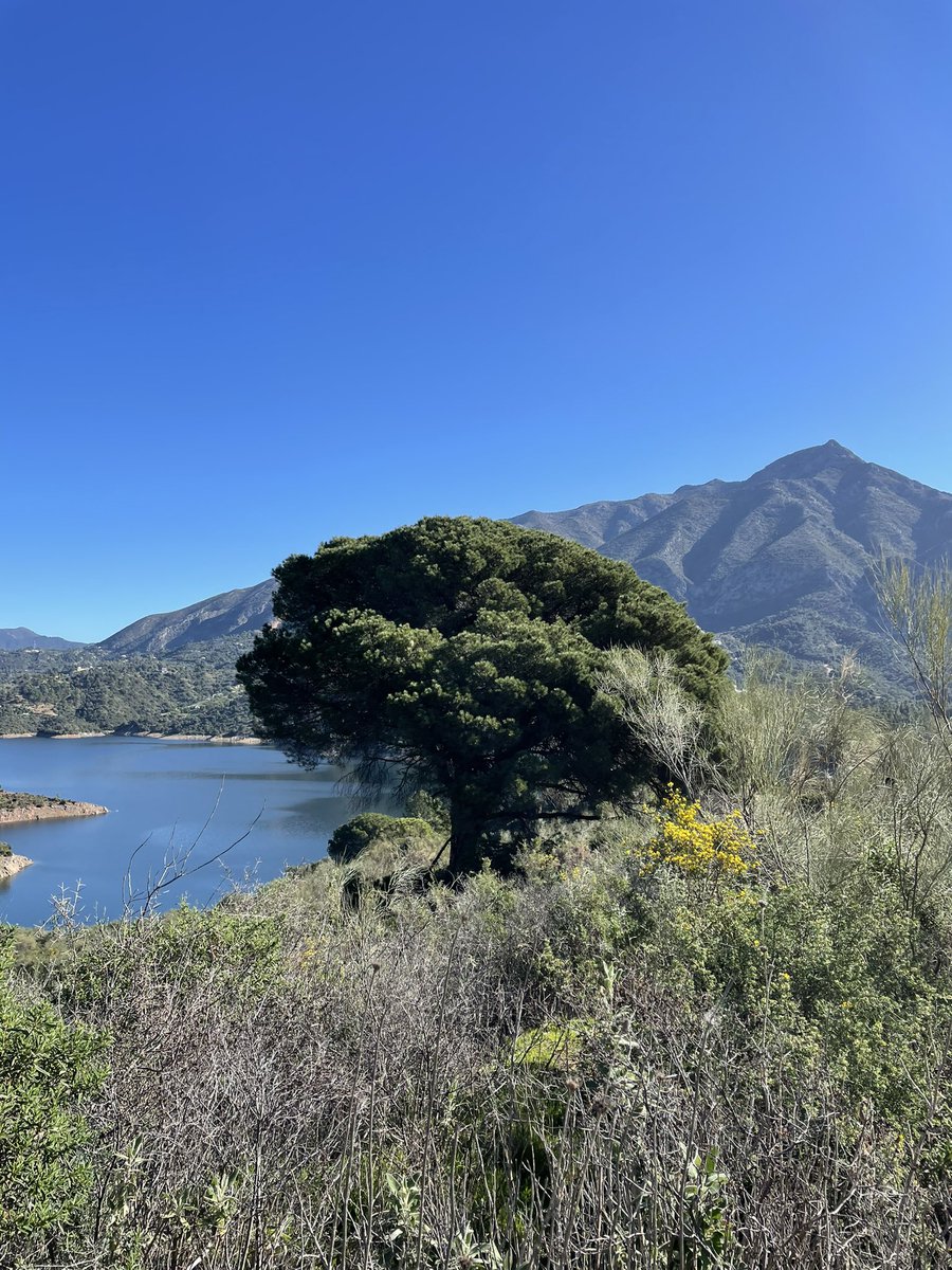 spidernick's tweet photo. For anyone like me, who is boycotting the #Coronation can you beat this as an alternative? I am walking in the hills above Marbella with glorious views like this. #AbolishTheMonarchy #AllowPeacefulProtest https://t.co/hhvF6CHyK2