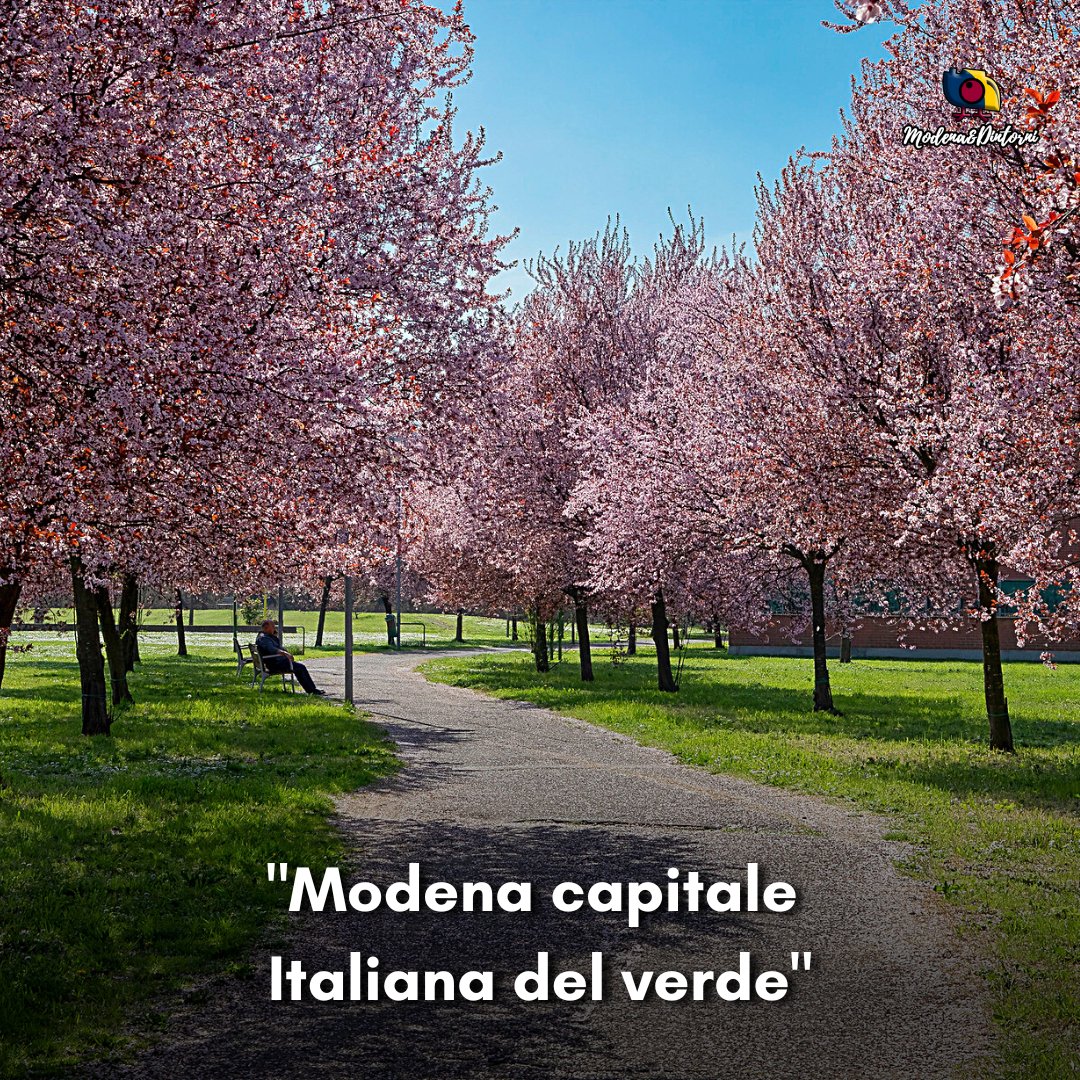 ModenaDintorni's tweet photo. #Modena capitale Italiana del verde 💚

Lo sapevate che Modena è la città italiana con più alberi? Ce ne sono 115 ogni 100 abitanti! Dato che la pone in testa alla classifica dello Stivale per numero di alberi in rapporto agli abitanti 🏆 https://t.co/jI4S9Uav2e