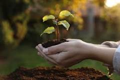 DiniAli13's tweet photo. The principle or concept of a green environment covers several points, including supporting the use of renewable materials, applying sustainable consumption and production, minimizing waste, and reducing toxic pollutants (land, water and soil). https://t.co/NLYeeIiTef