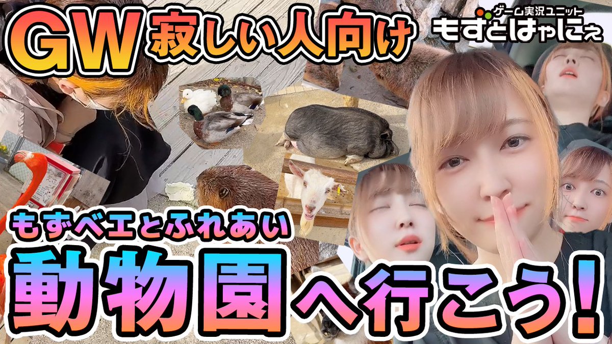 yousei_hayanie's tweet photo. 🐤5/6㈯#もずはゃ予定🐸
🔻19時🐤#オメスト 参加型
🔻21時🐸#Ruinarch 最新魔王になるゲーム
🔻23時🐤#サマナクロ Twitchでギルドレイドonly
🔻24時🐤🐸#もずはゃのさびざん ブチギレ配信
https://t.co/88ZwVMphwn
本日も盛り沢山!プロゲーム実況ユニットもずはゃの生放送!
🐤GWどこにも行ってない人はもずベエと動物園いかない?
https://t.co/GnPufF6B3i