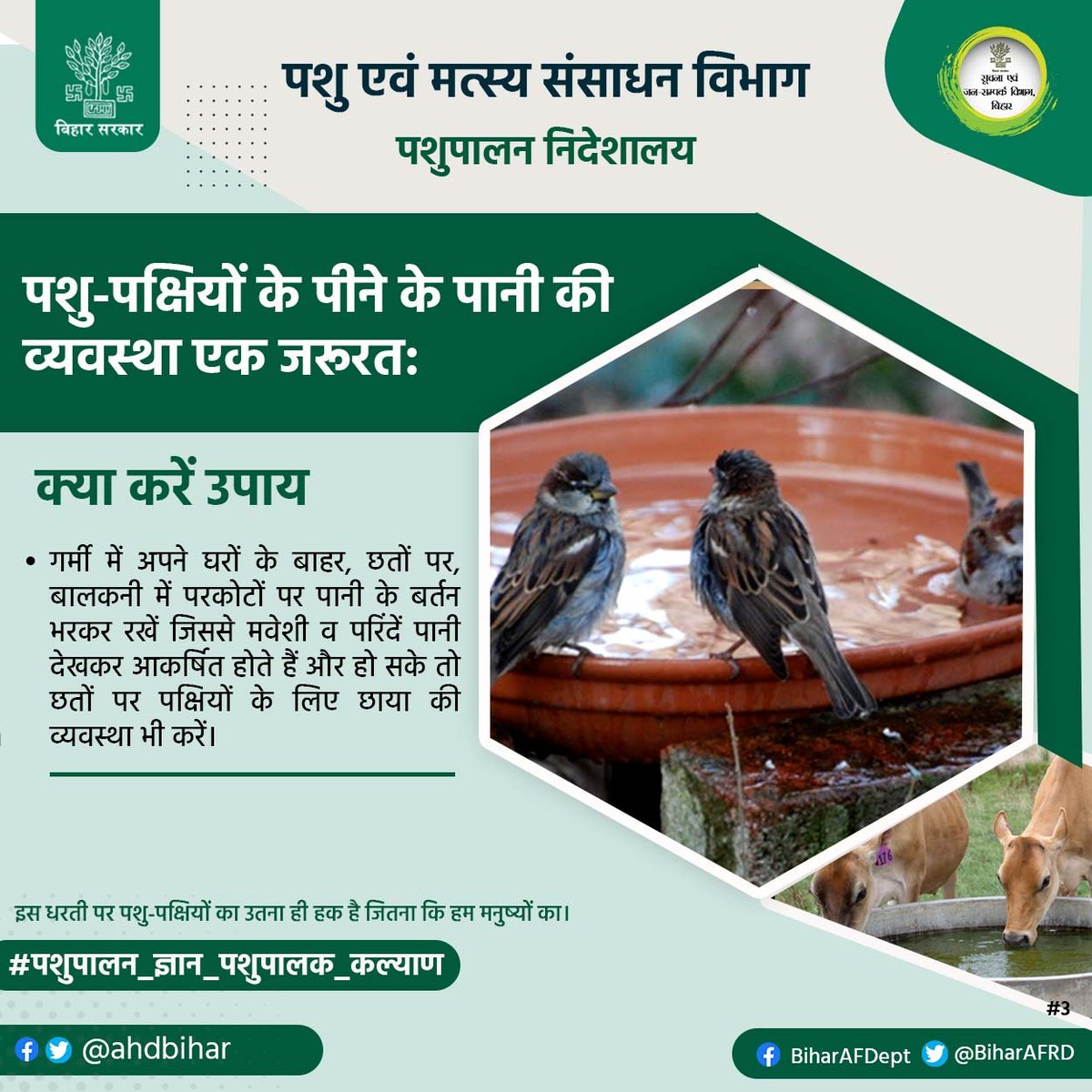 Animal & Fisheries Resources Dept., Bihar (@biharafrd) on Twitter photo पशु-पक्षियों के पीने के पानी की व्यवस्था एक जरुरत।
<a href="/AfaqueKasbaMLA/">Afaque Alam</a>
<a href="/saravanakr_n/">N Saravana Kumar IAS</a>
<a href="/Dept_of_AHD/">Dept of Animal Husbandry & Dairying, Min of FAH&D</a>
@AnimalBihar
<a href="/DirectorateOfF1/">Directorate Of Fisheries, Bihar, Patna</a>
#पशुपालन_ज्ञान_पशुपालक_कल्याण
#BiharAnimalAndFisheriesResourcesDept पशु-पक्षियों के पीने के पानी की व्यवस्था एक जरुरत।
<a href="/AfaqueKasbaMLA/">Afaque Alam</a>
<a href="/saravanakr_n/">N Saravana Kumar IAS</a>
<a href="/Dept_of_AHD/">Dept of Animal Husbandry & Dairying, Min of FAH&D</a>
@AnimalBihar
<a href="/DirectorateOfF1/">Directorate Of Fisheries, Bihar, Patna</a>
#पशुपालन_ज्ञान_पशुपालक_कल्याण
#BiharAnimalAndFisheriesResourcesDept