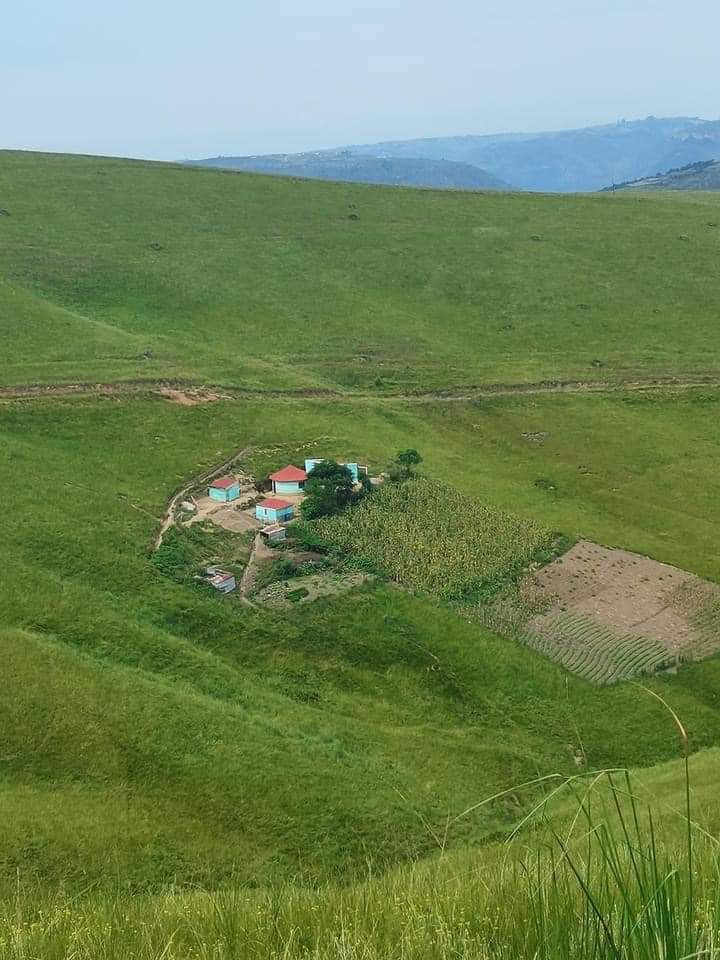 ChristianSyanda's tweet image. I come from the rural areas  🏘🎪🏚