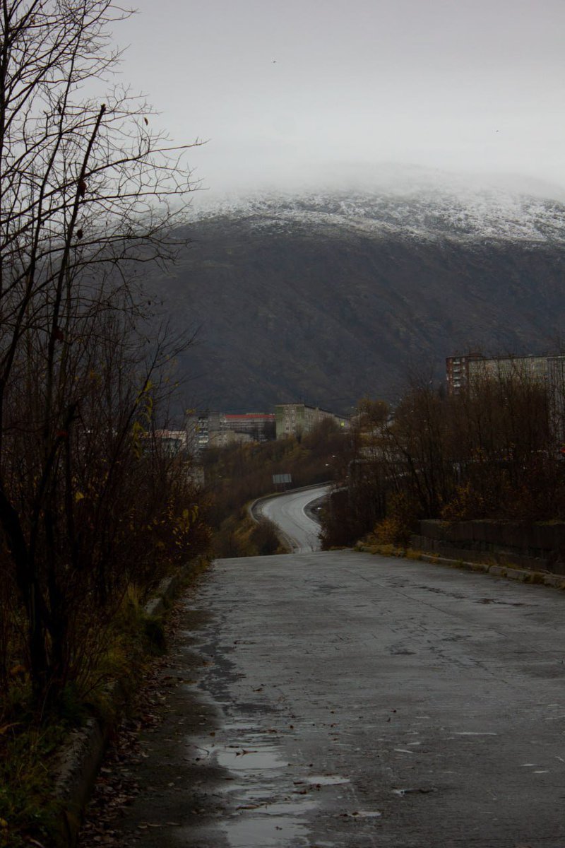 ArchiWoolf (@archiwoolf) on Twitter photo 