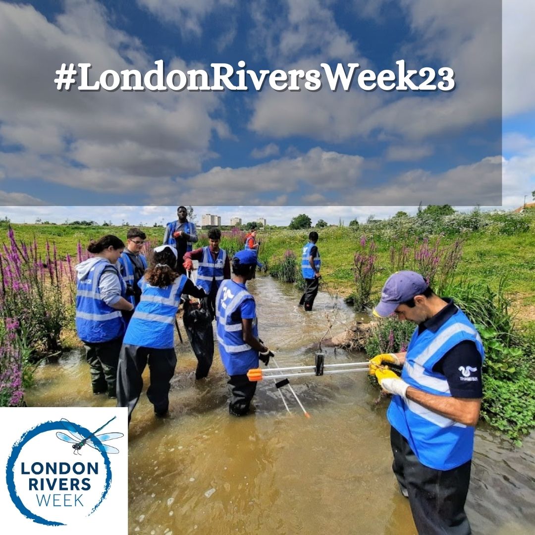 It's a #London thing! Just under three weeks to go to #LondonRiversWeek23. 29th May-4th June. Get involved in the many walks, talks and webinars celebrating London's rivers. thames21.org.uk/events/categor…