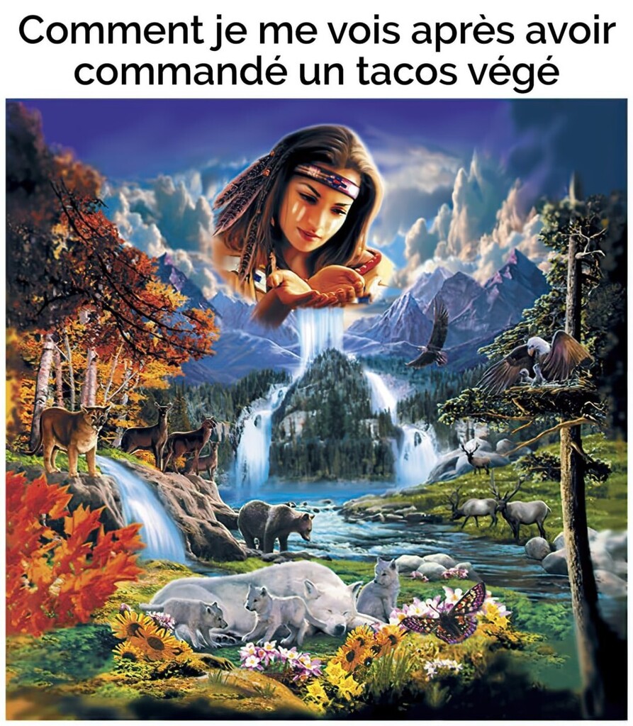Le tacos falafel va sauver le climat