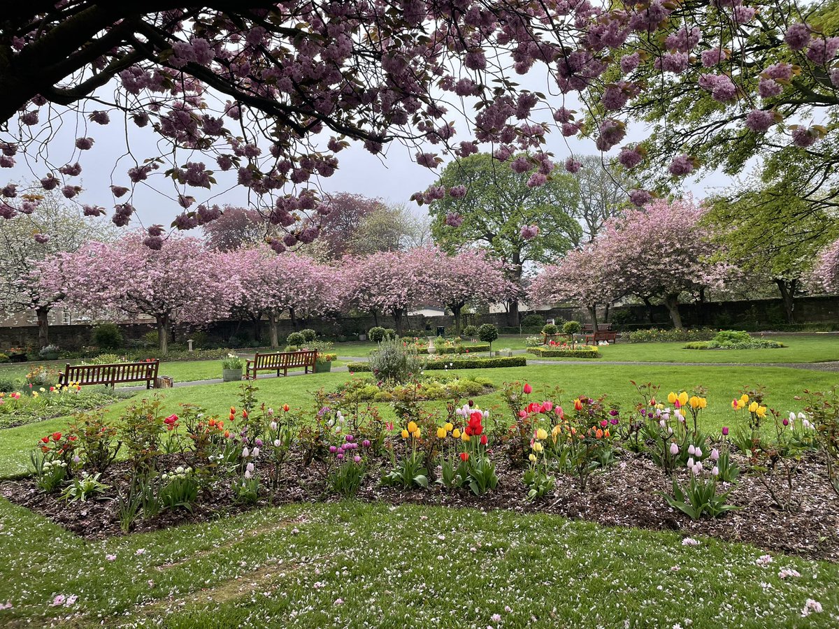 StarbankPark's tweet photo. We wish @ChildHealthScot a fantastic family picnic day @StarbankPark! We love the marquee and all the teddy bears π§Έ #picnicpark #aparkforall #specialdays https://t.co/7YAldv16OG