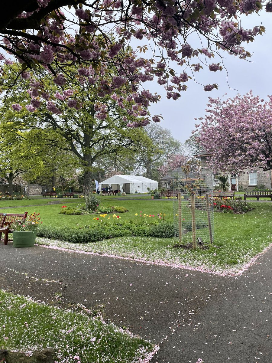 StarbankPark's tweet photo. We wish @ChildHealthScot a fantastic family picnic day @StarbankPark! We love the marquee and all the teddy bears π§Έ #picnicpark #aparkforall #specialdays https://t.co/7YAldv16OG