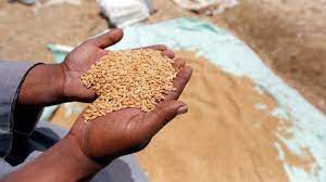 kissan_pakistan's tweet photo. ایک کسان نے 1200من گندم فوڈسینٹر کو دی 100من گندم عشر کی مدرسہ کے بچوں کیلے لجاتے ہوئے راستے میں انتظامیہ نے پکڑ کر اپنی کارکردگی بہتر کرنے کی ناکام کوشش کی۔ https://t.co/Fdj6Tgo9fv