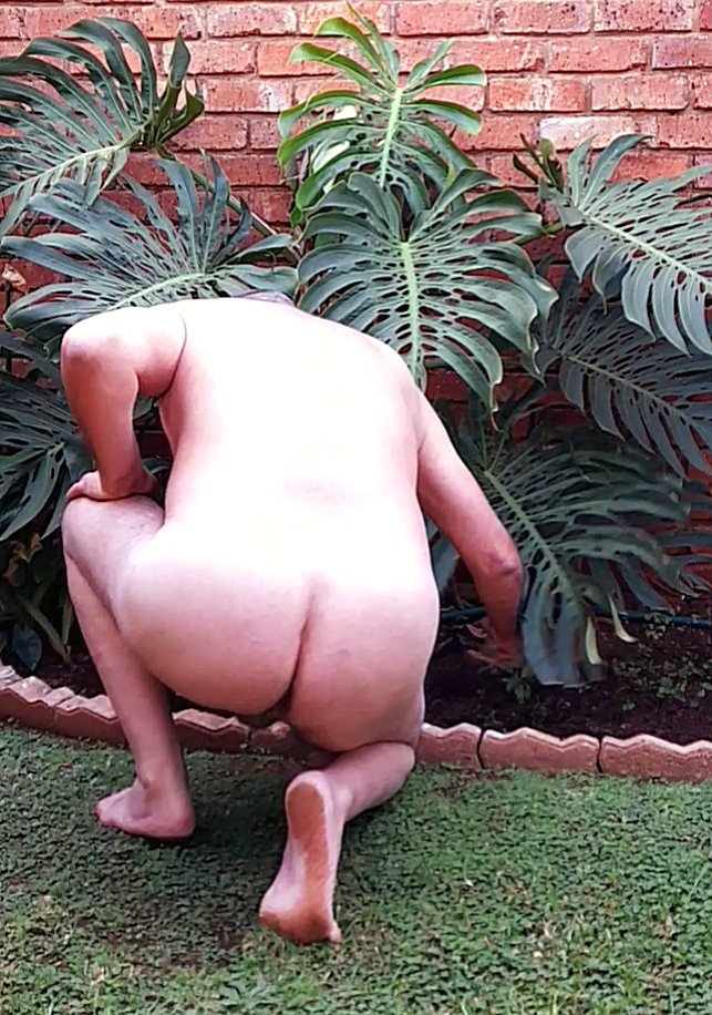 Brian64068453's tweet photo. Naked Gardening day ! https://t.co/isI8YXSP1m