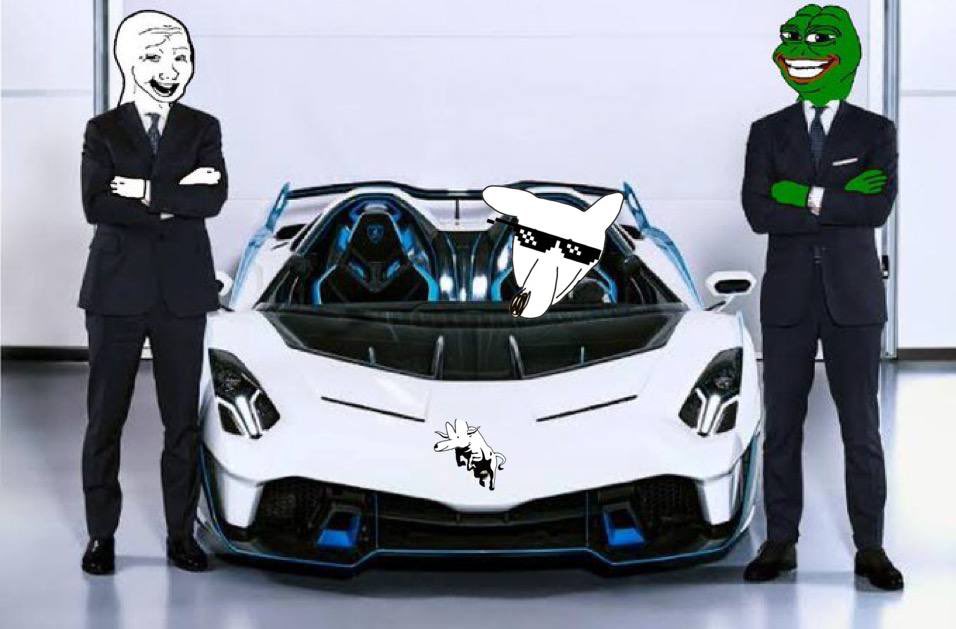 Dogggo Token tweet media