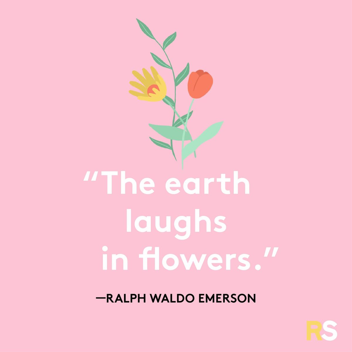 sleepypineappl2's tweet photo. #SpringLastsLongerWithRAVN
"The Earth laughs in flower."
#왕나비_군주_레이븐 #RAVN https://t.co/QibO9UcMuI