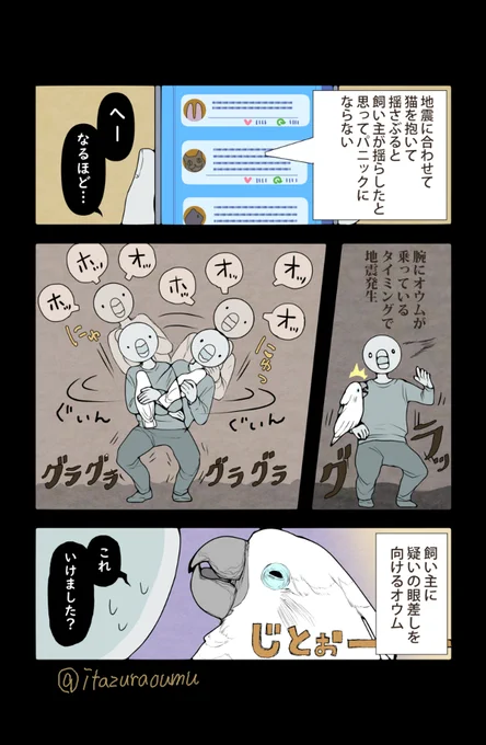 地震があったことを誤魔化そうとする飼い主と微妙に気づいたオウム。 効果があるかどうかは、動物とその時の状況次第かも知れません。