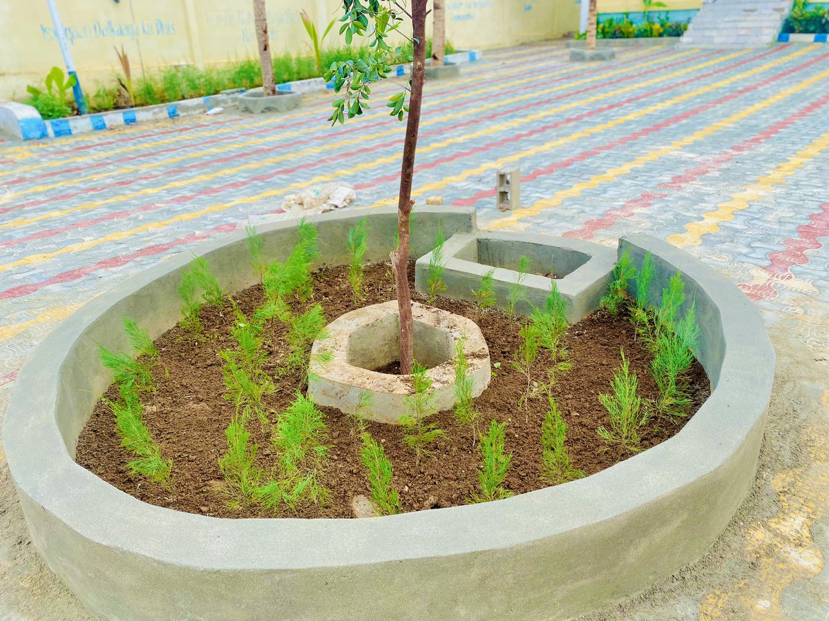 DiiniCompany's tweet photo. Waxan ku faraxsanahay in aan dhireneno goob cusub .
Balantenu waa Deegan cagaran 
@DiiniCompany https://t.co/V3h46myb14