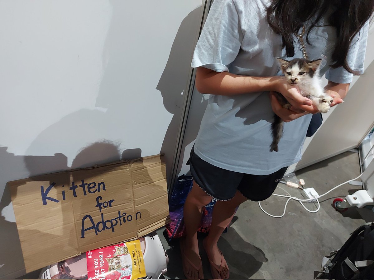 samantha_cavill's tweet photo. Kitten for adoption at pet expo midvalley
So cute 🤧🥲💕 kesian dia. Need a loving home. Located sebelah paws animal welfare society. They dont have a booth. Just 2 kind people trying to find the kitty a home🙏💕 https://t.co/KDKEChgoul