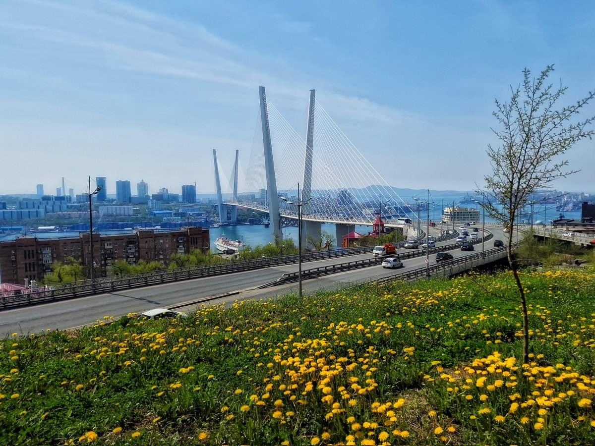 Tabachenko's tweet image. Сегодня, знаете ли, очень неплохо было в городе... #владивосток