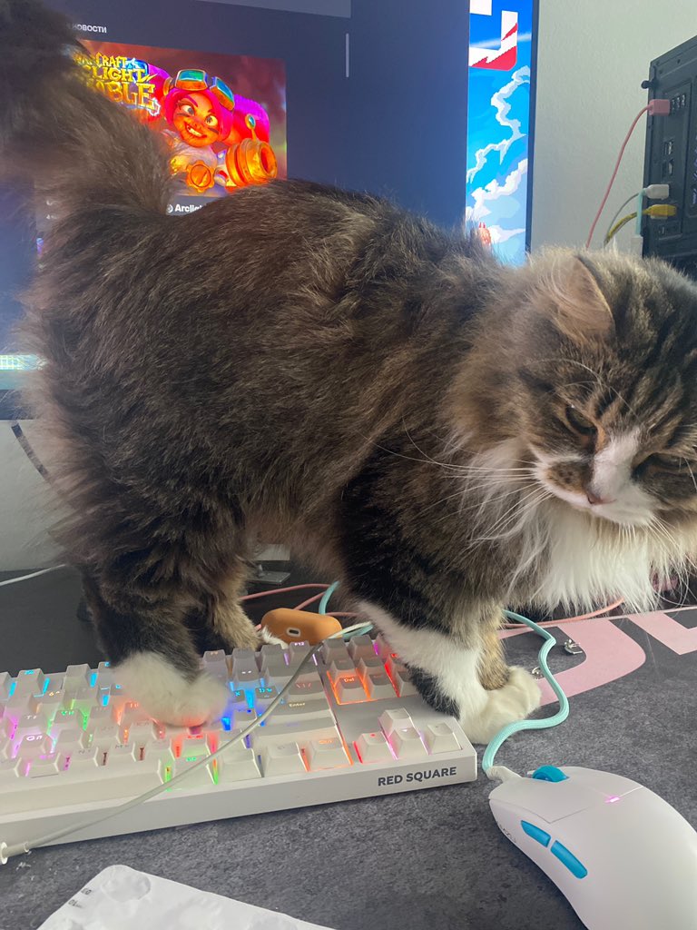 jerquejerk's tweet image. клаву отобрал