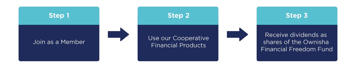 Government employees have an opportunity to build their personal wealth by choosing to receive Ownisha Financial Freedom Fund shares