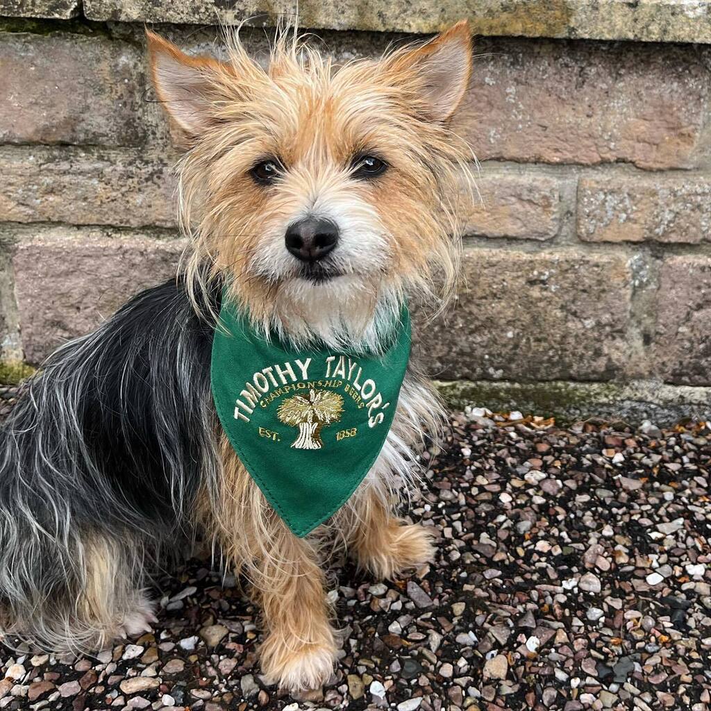 Badger and The Brigadier (@badgerandbrig) on Twitter photo 