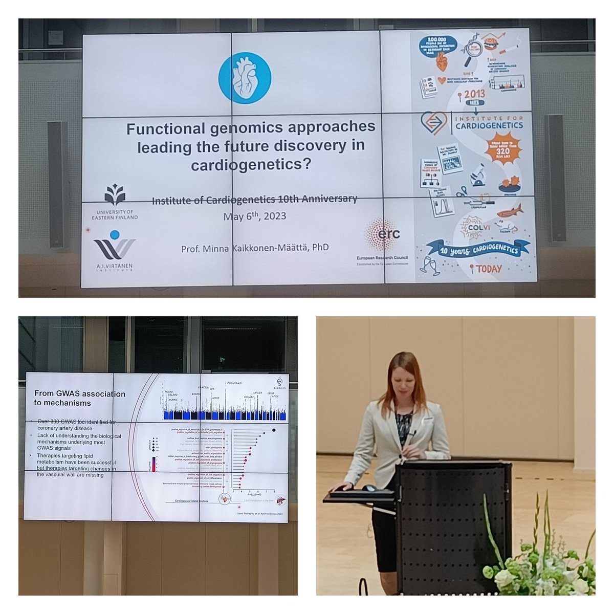 We're already at the final talk of the 10 Years Anniversary Event of the @cardiogenetics and it's an absolute highlight: Minna Kaikonnen-Määtäa speaks about Functional Genomics in cardio genetics! @KaikkonenLab /rh