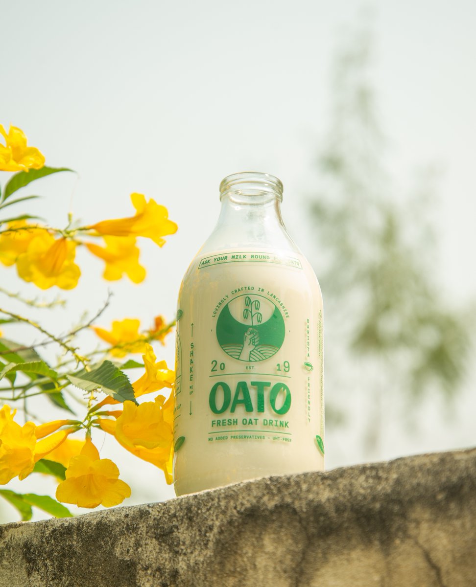 oatofresh's tweet image. Trying to do my part in reducing plastic waste, one oat milk bottle at a time 🌍💚

oato.co.uk

#oato #plasticfreeliving #plasticfreejuly 
#zerowaste #ecofriendly #sustainable #wastefree