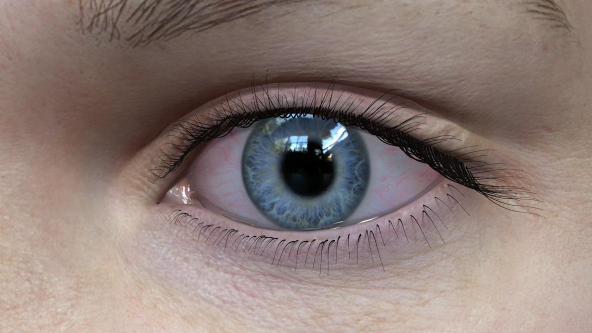 ow.ly/2JKV104FZ3e ow.ly/9XOK104G5af Black currant seed oil for dry eyes - Medical News Today