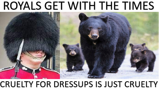mryansisland's tweet photo. 100's bears are killed every year to make King’s Guard’s hats for #RoyalFamily each year, Tell me how good is #KingCharles #Coronation killing Bears for #PompAndCeremony https://t.co/5cmdmZFHpQ