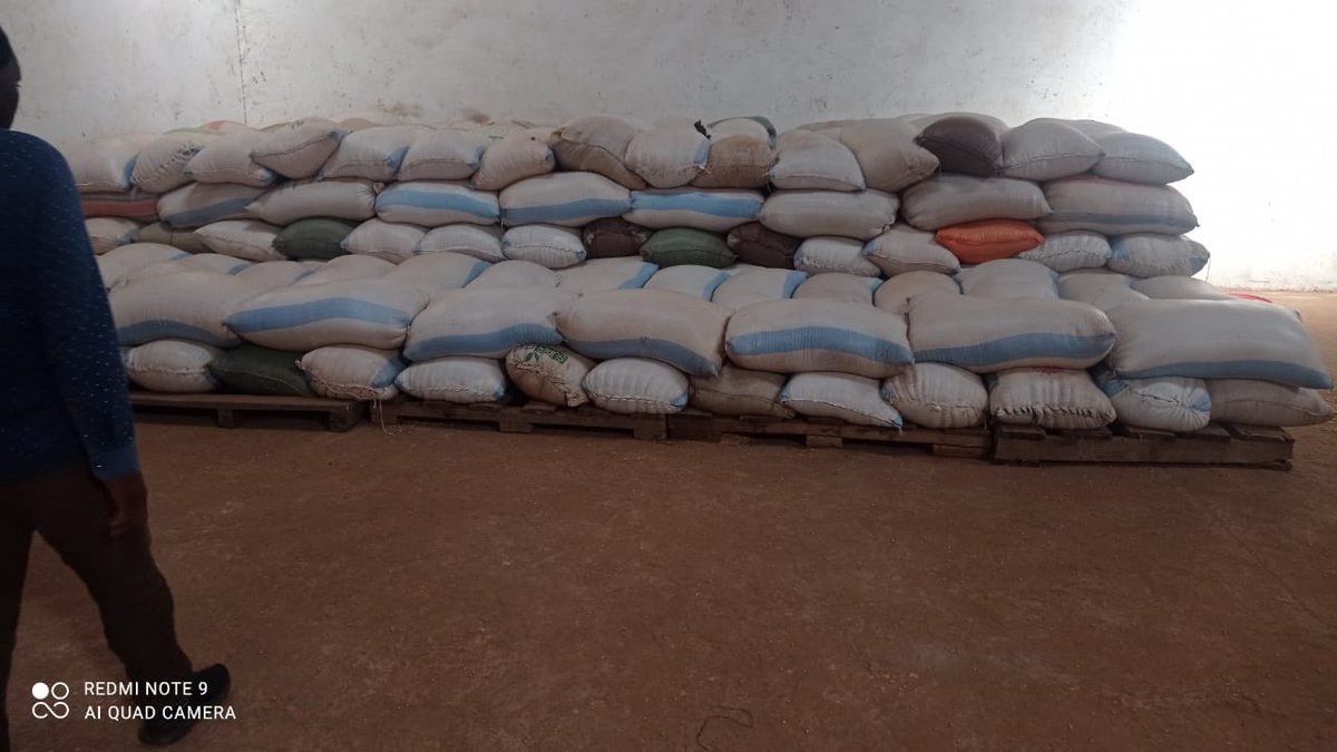 ⁦<a href="/CoopDikirani/">Dikirani Cooperative Union</a>⁩ aggregating good quality soybeans following a challenging production season. Co-op farmers committed to supplying quality grain ⁦<a href="/cab_community/">CAB@work</a>⁩. Thanks ⁦<a href="/ReubenP03572205/">Reuben Phiri</a>⁩ and his quality control team support.